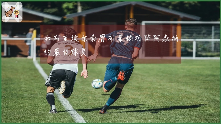 加布里埃尔荣膺布莱顿对阵阿森纳的最佳球员